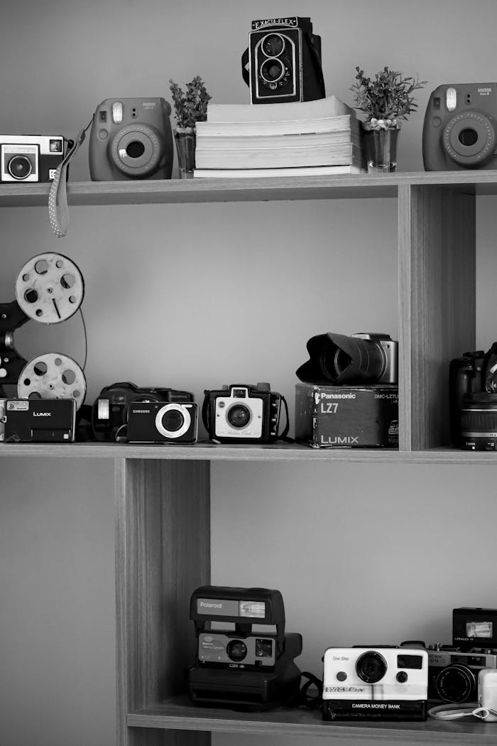 Monochrome photo showcasing a collection of vintage and modern cameras on shelves, perfect for photography enthusiasts.